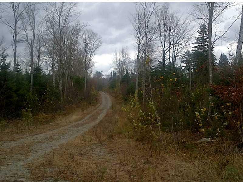 20 A Parkman Point Road Whiting, ME 04691 - Photo 5 of 11 Land/Lot. Road in to property