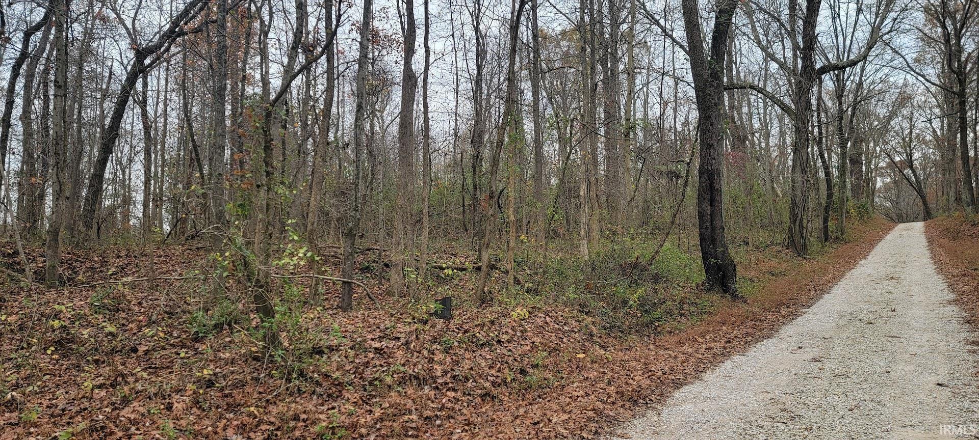 375 South County Road Winslow, IN 47598 - Photo 13 of 21 Gallery Image 13