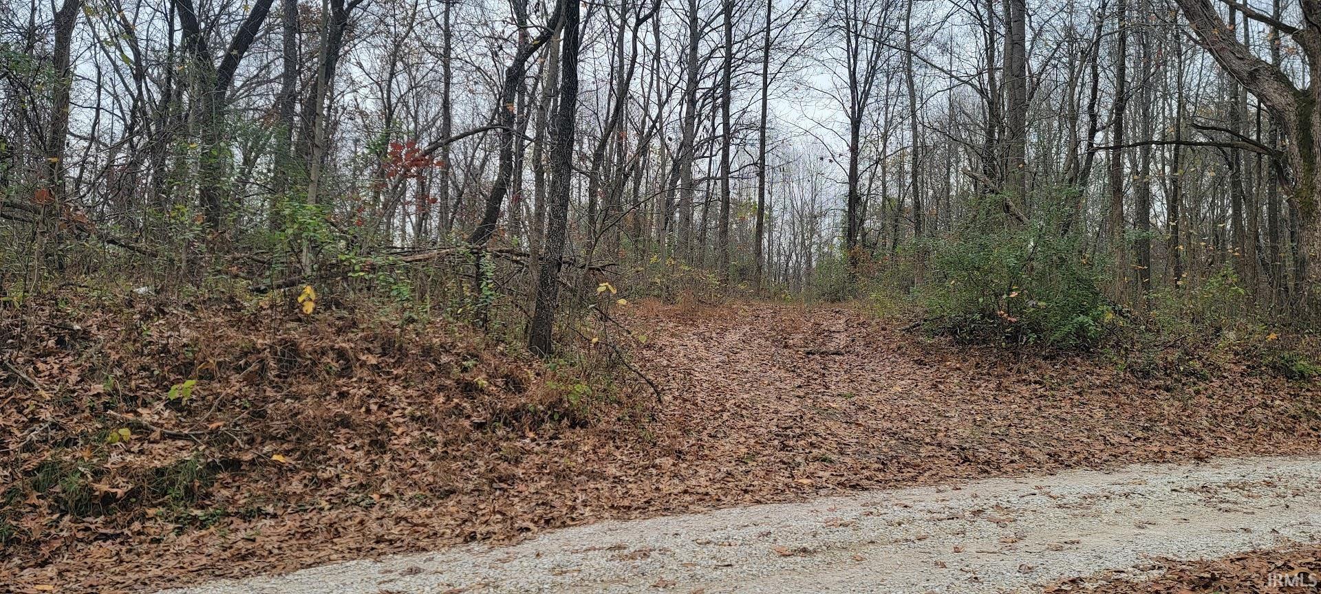 375 South County Road Winslow, IN 47598 - Photo 14 of 21 Gallery Image 14