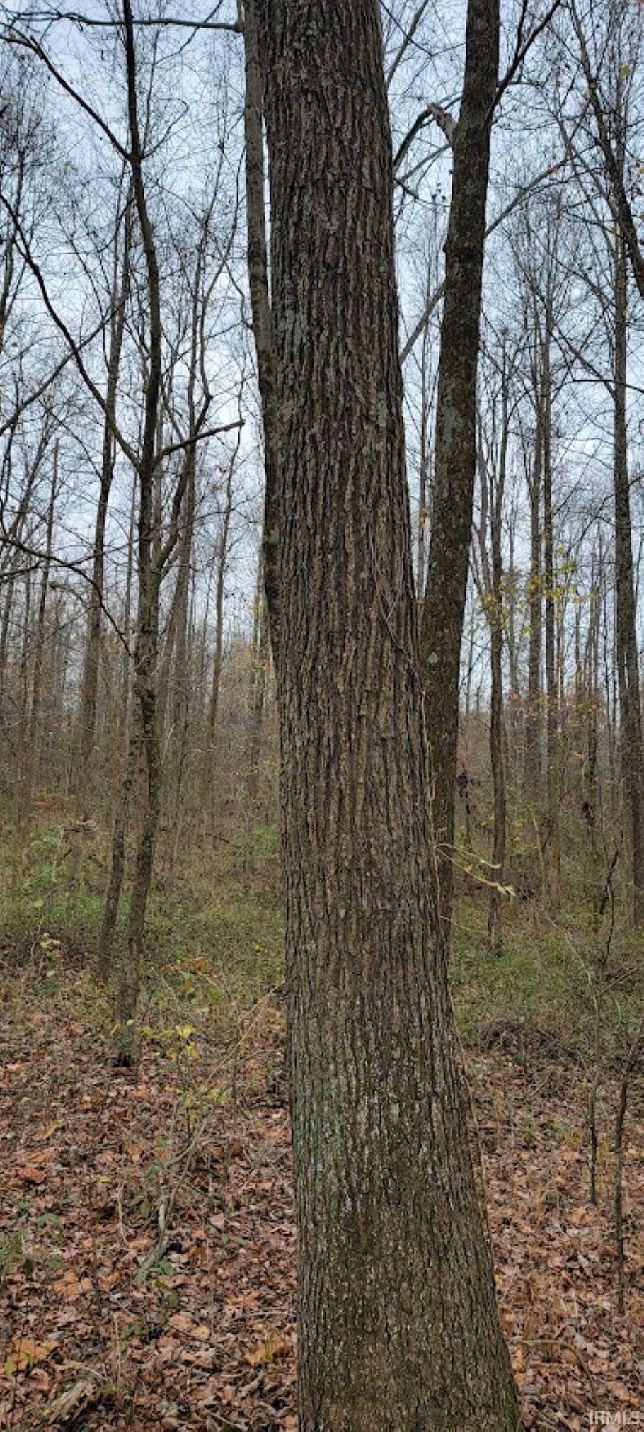 375 South County Road Winslow, IN 47598 - Photo 16 of 21 Gallery Image 16