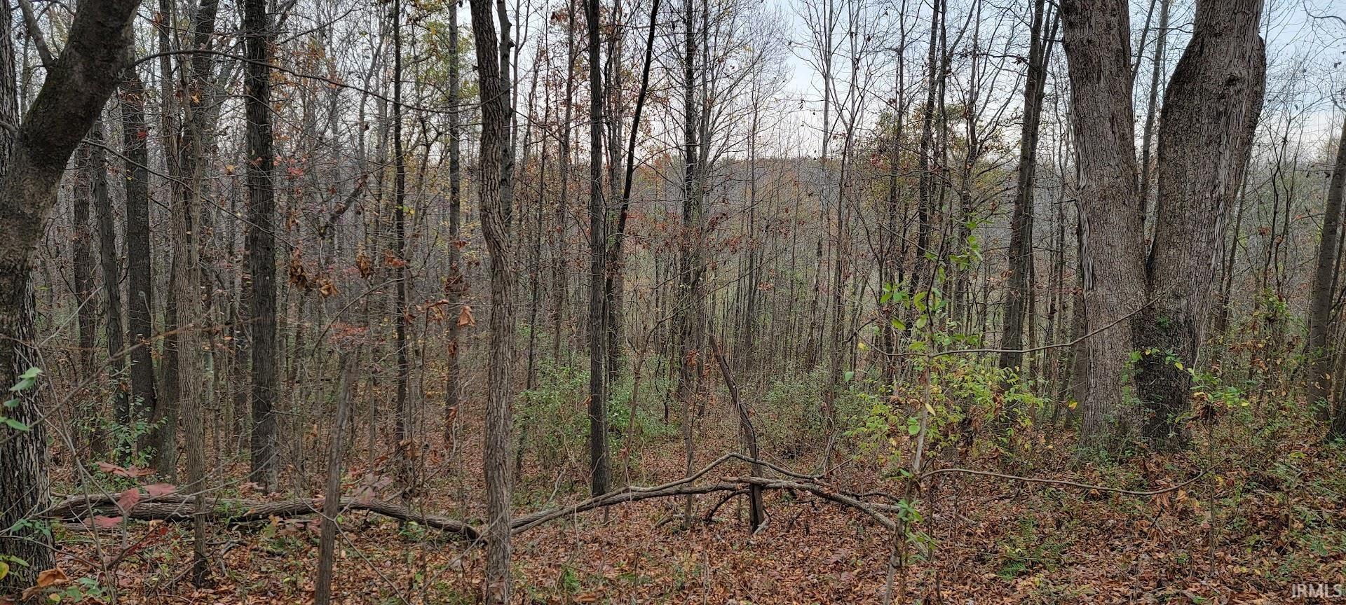 375 South County Road Winslow, IN 47598 - Photo 9 of 21 Gallery Image 9