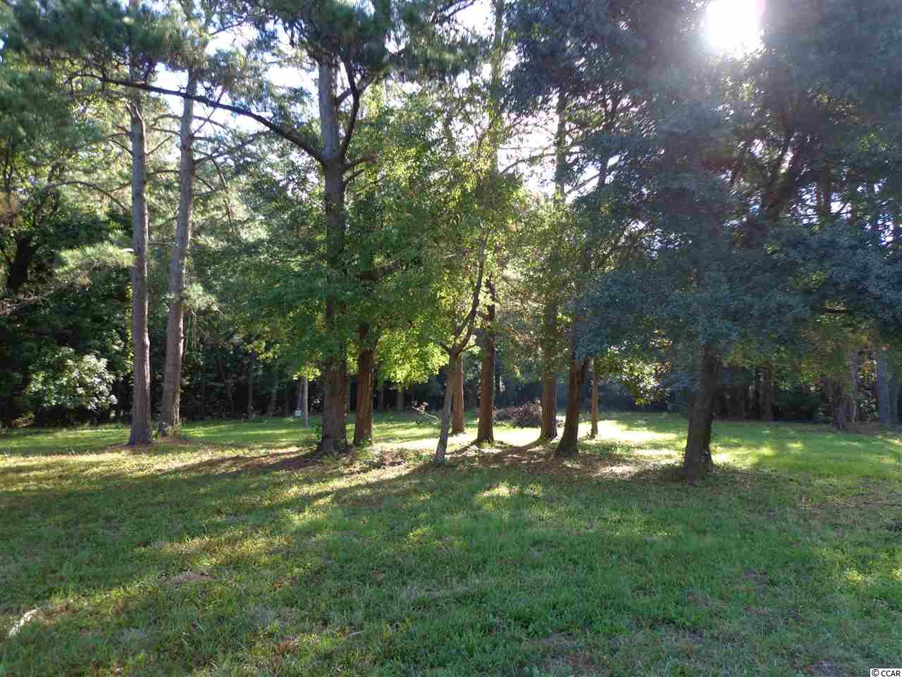 Lot 32 Riverside Drive North Myrtle Beach, SC 29582 - Photo 2 of 6 Gallery Image 2