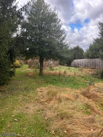 a view of a yard with a tree