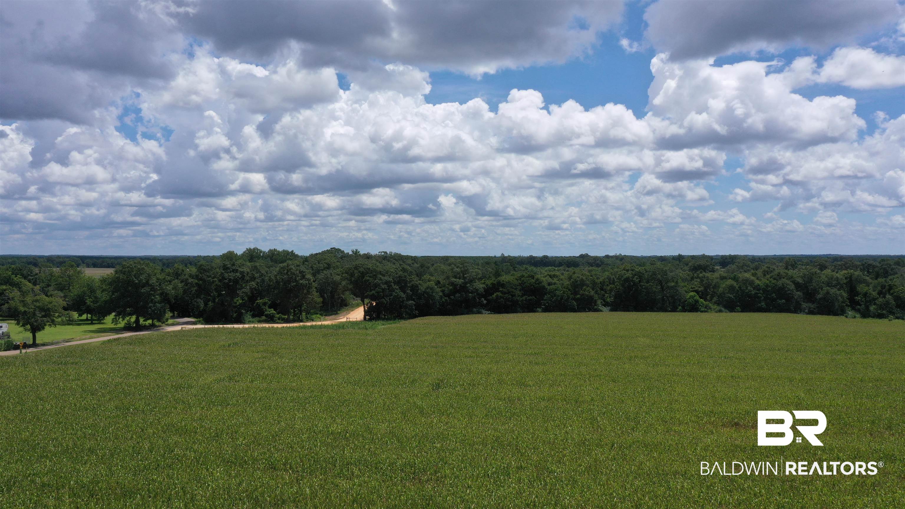 3 Highway 21 Atmore, AL 36502 - Photo 11 of 18 View of yard featuring a rural view