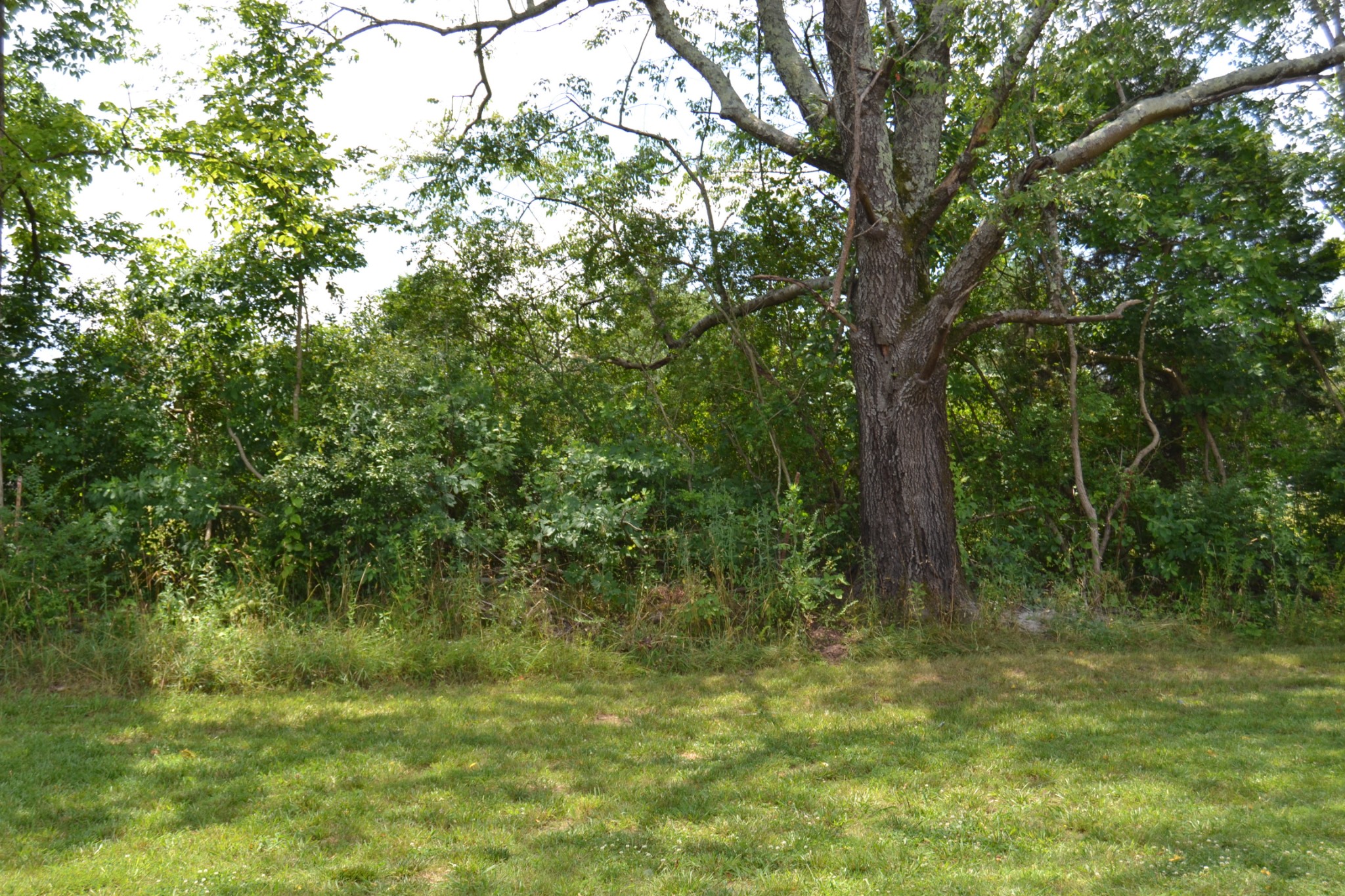 4017 Clanton Road Lawrenceburg, TN 38464 - Photo 7 of 25 Gallery Image 7