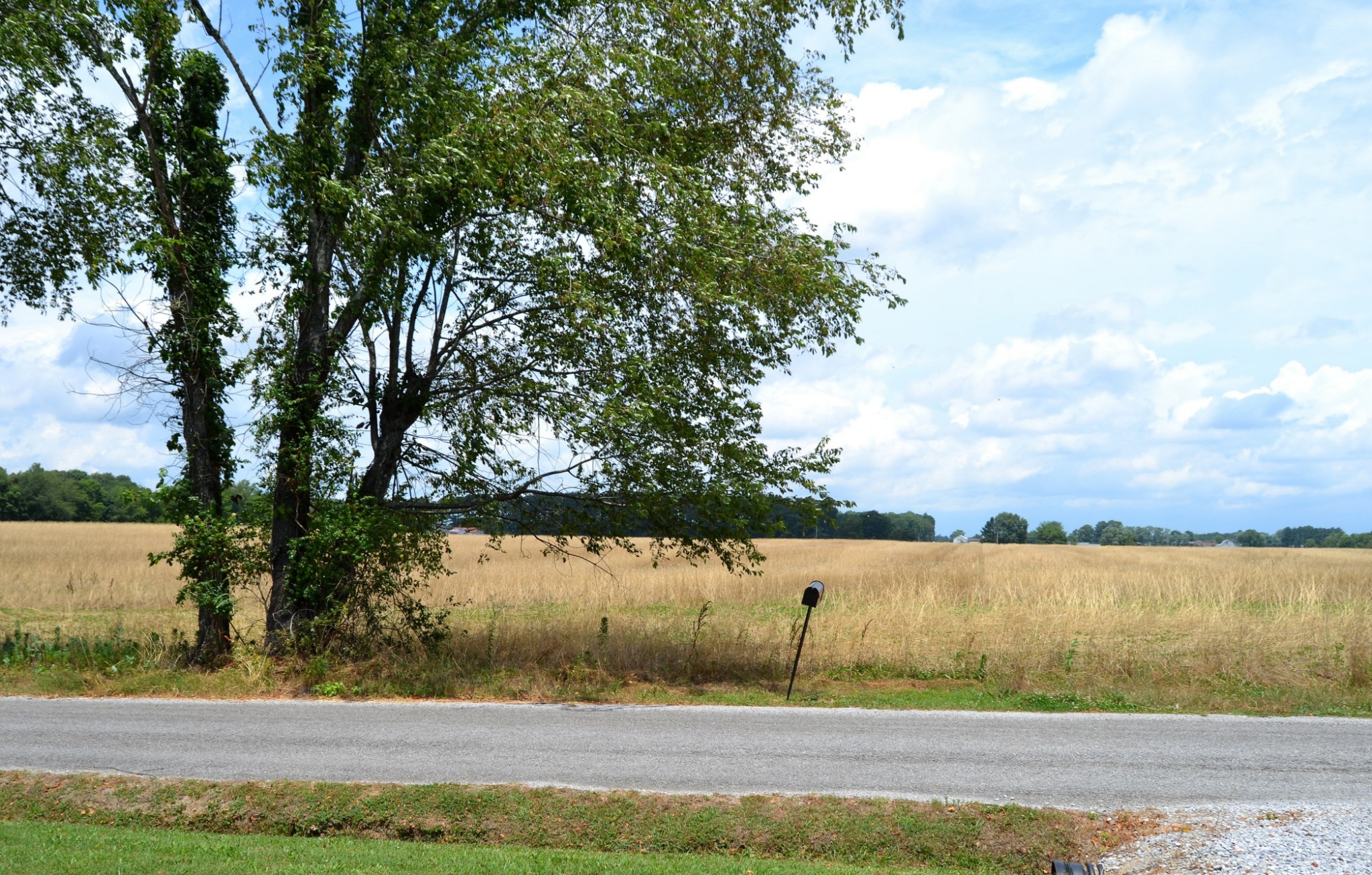 4017 Clanton Road Lawrenceburg, TN 38464 - Photo 9 of 25 Gallery Image 9