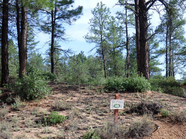 39 Saddleback Trail Star Valley, AZ 85541 - Photo 3 of 9 a view of backyard with green space