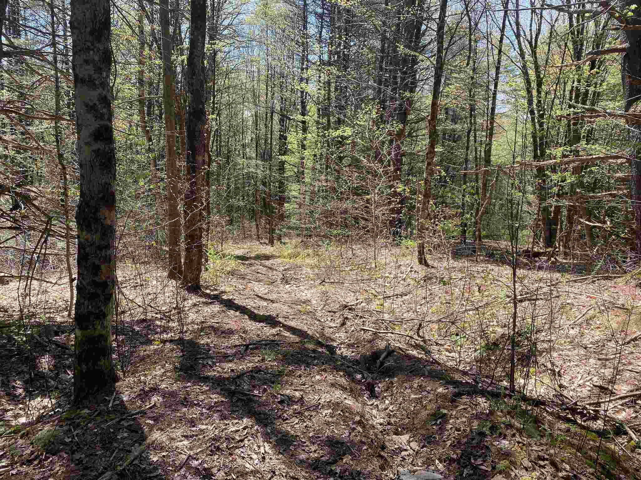 0 Morse Brook Road Putney, VT 05346 - Photo 3 of 6