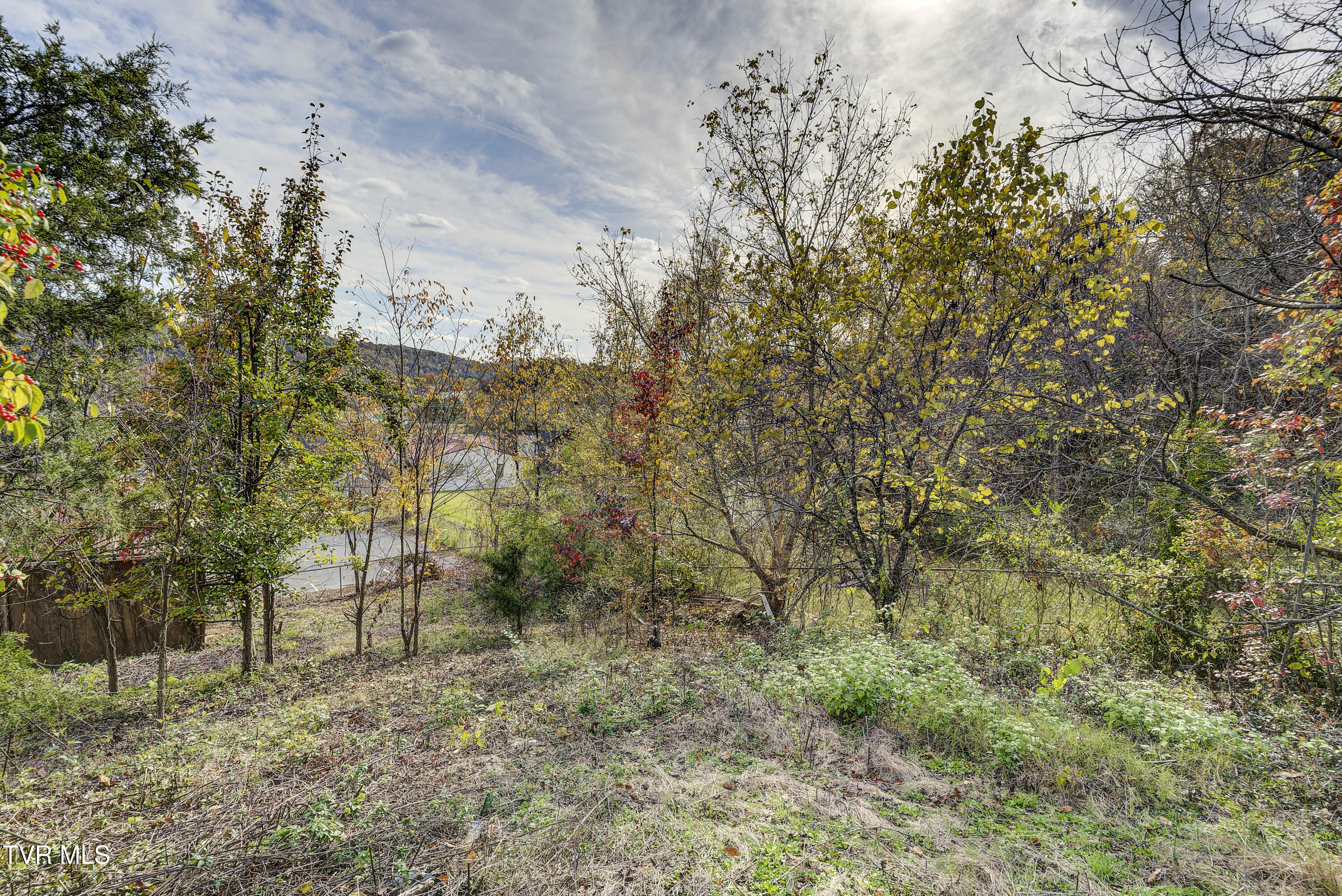 2209 Jett Road Kingsport, TN 37660 - Photo 43 of 46 Backyard