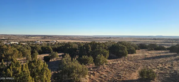 a view of a dry yard with wooden fence