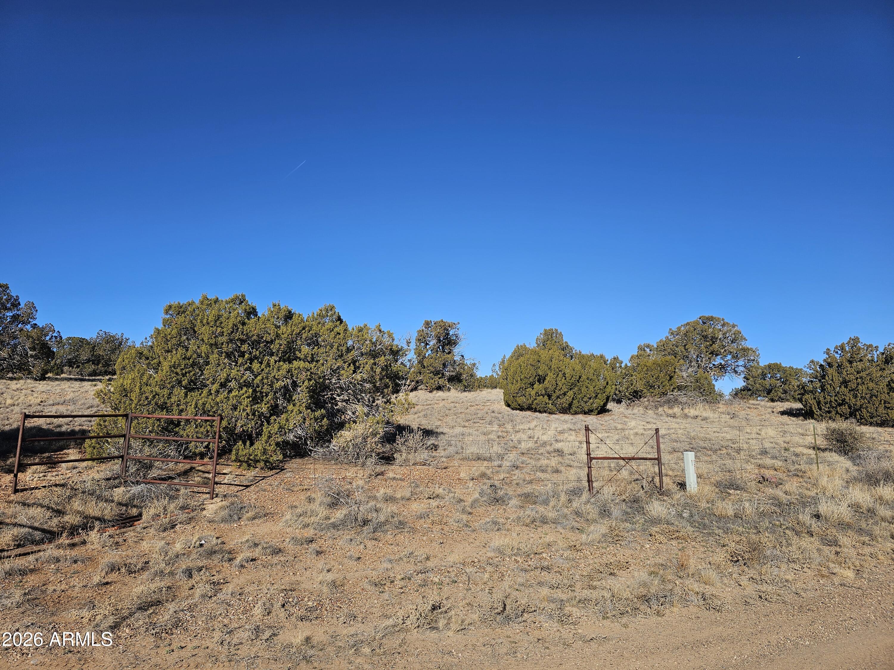 0 Arena Estates Taylor, AZ 85939 - Photo 11 of 18 12