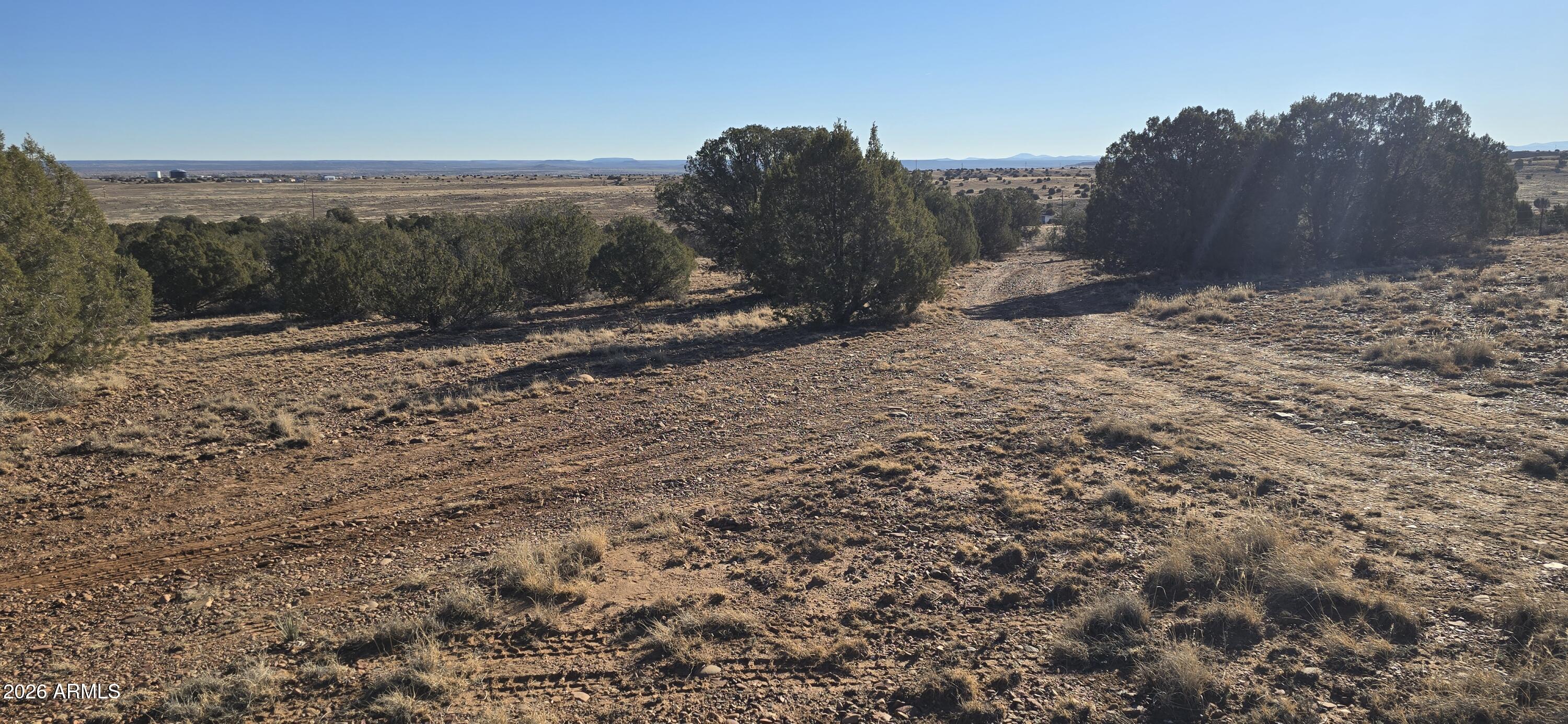 0 Arena Estates Taylor, AZ 85939 - Photo 12 of 18 13
