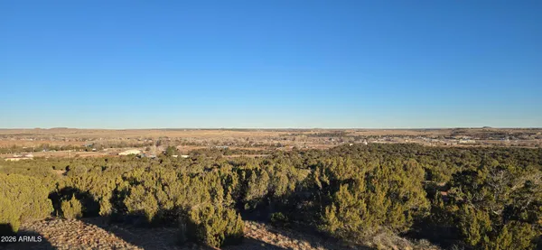 a view of a backyard with trees