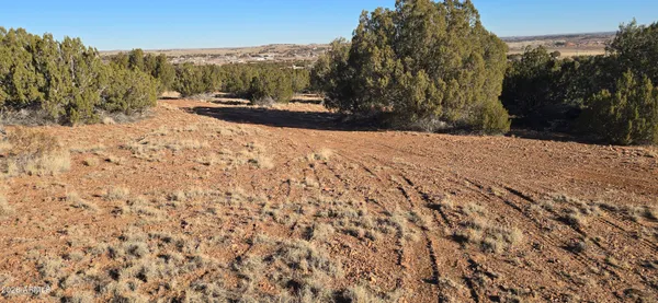 a view of a snow on the road