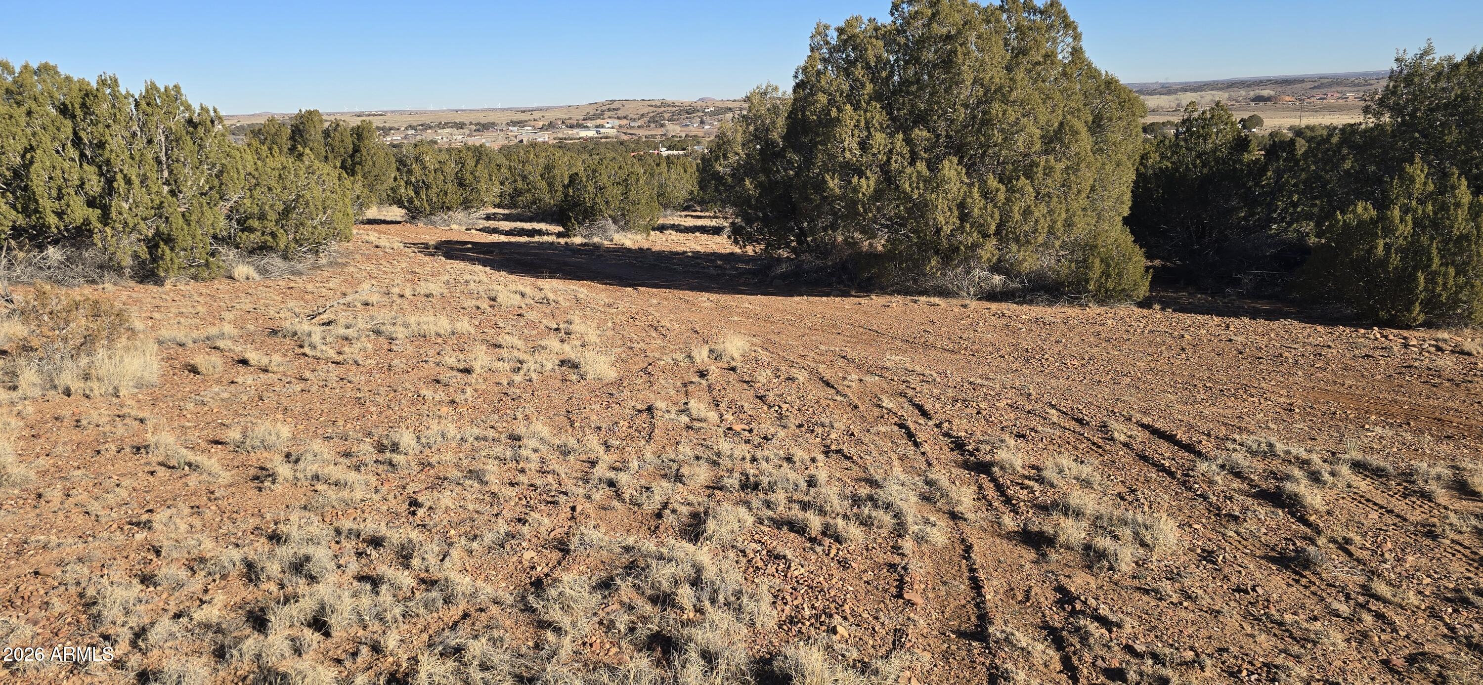 0 Arena Estates Taylor, AZ 85939 - Photo 4 of 18 4