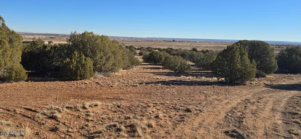 a view of empty field with trees in the background
