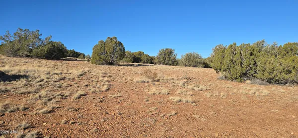 a view of a dry yard with wooden fence
