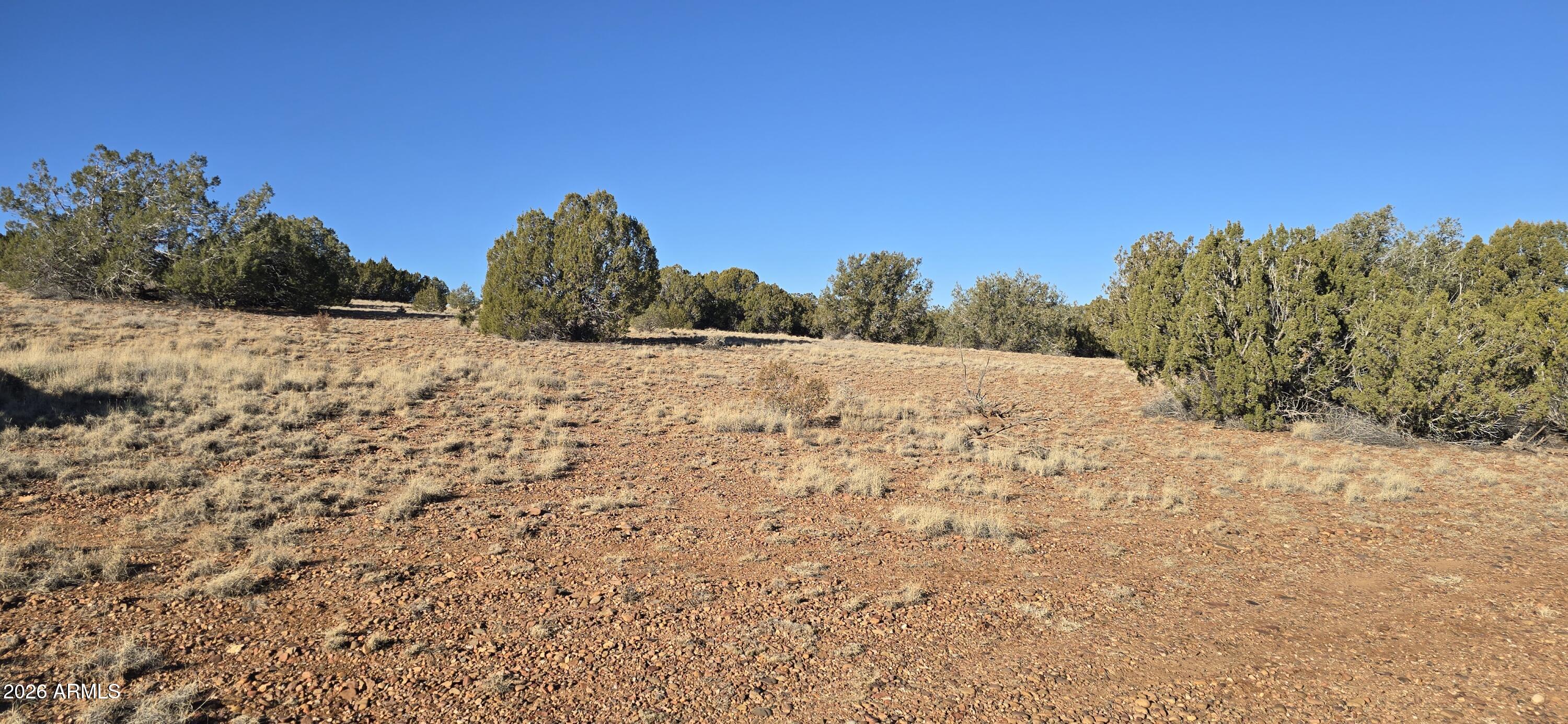 0 Arena Estates Taylor, AZ 85939 - Photo 6 of 18 7