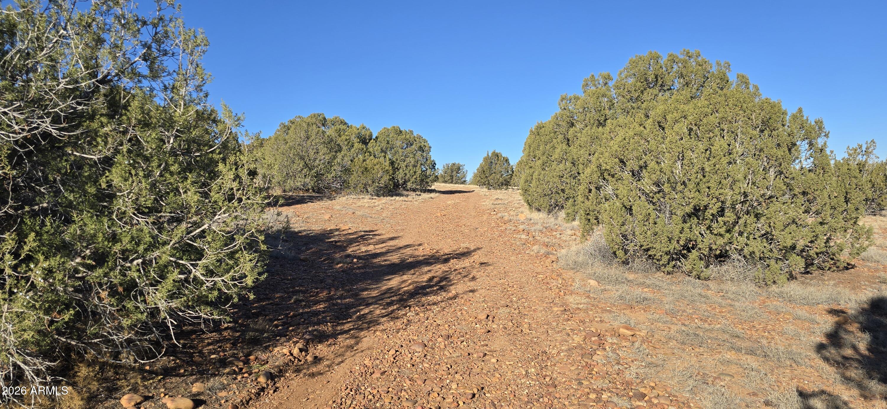 0 Arena Estates Taylor, AZ 85939 - Photo 8 of 18 9