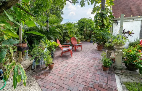 a backyard with chairs potted plants and large tree