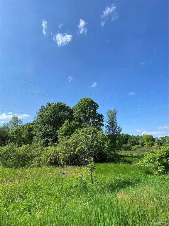 0 Kaiser Road Gregory, MI 48137 - Photo 8 of 29