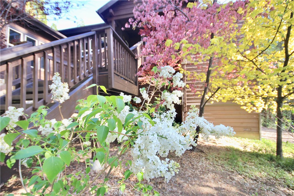 523 Dogwood Canyon Road Blue Jay, CA 92317 - Photo 26 of 33 a view of a pathway with a yard