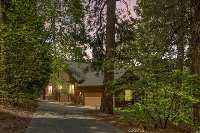 front view of a house with a tree