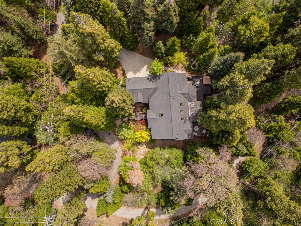 523 Dogwood Canyon Road Blue Jay, CA 92317 - Photo 32 of 33 a picture of trees