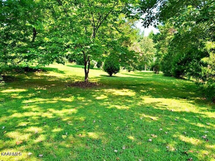 245 Sunrise Lane Decatur, TN 37322 - Photo 10 of 46 245 Sunrise Landscape 1