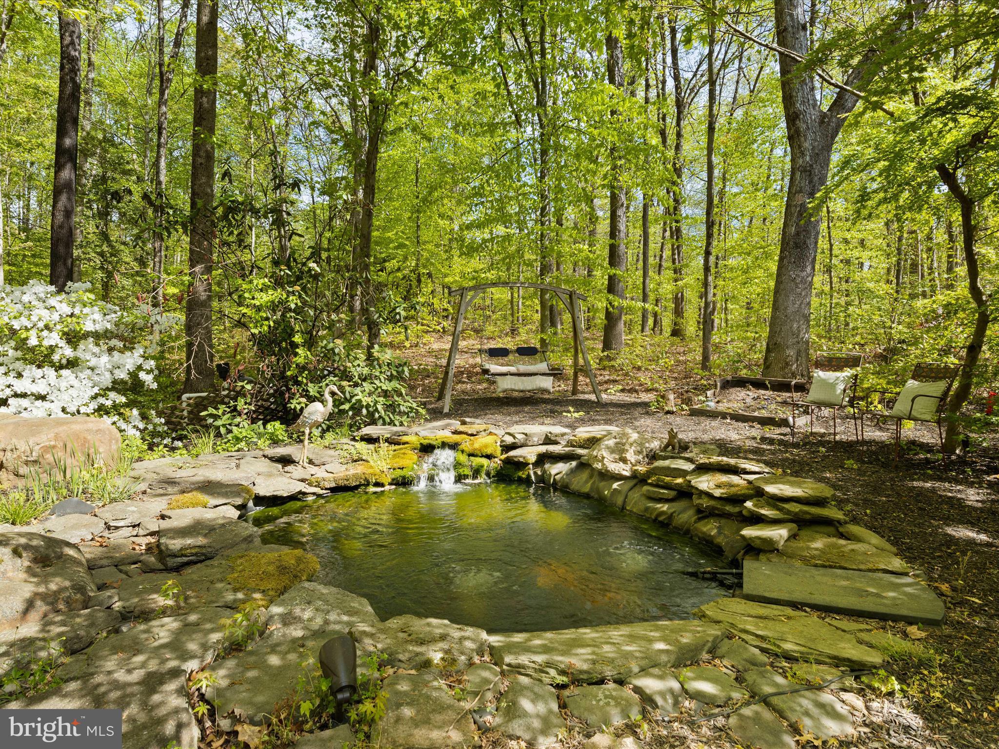 6615 Newman Road Clifton, VA 20124 - Photo 68 of 100 Koi Pond