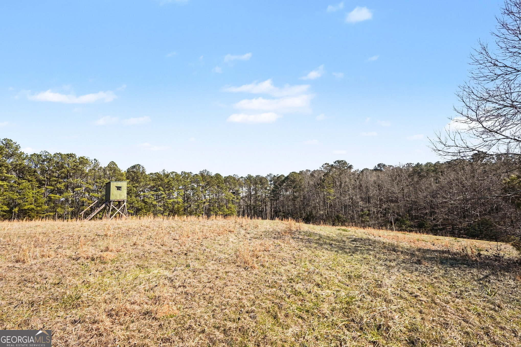 0 Vineyard Road Thomaston, GA 30286 - Photo 15 of 40