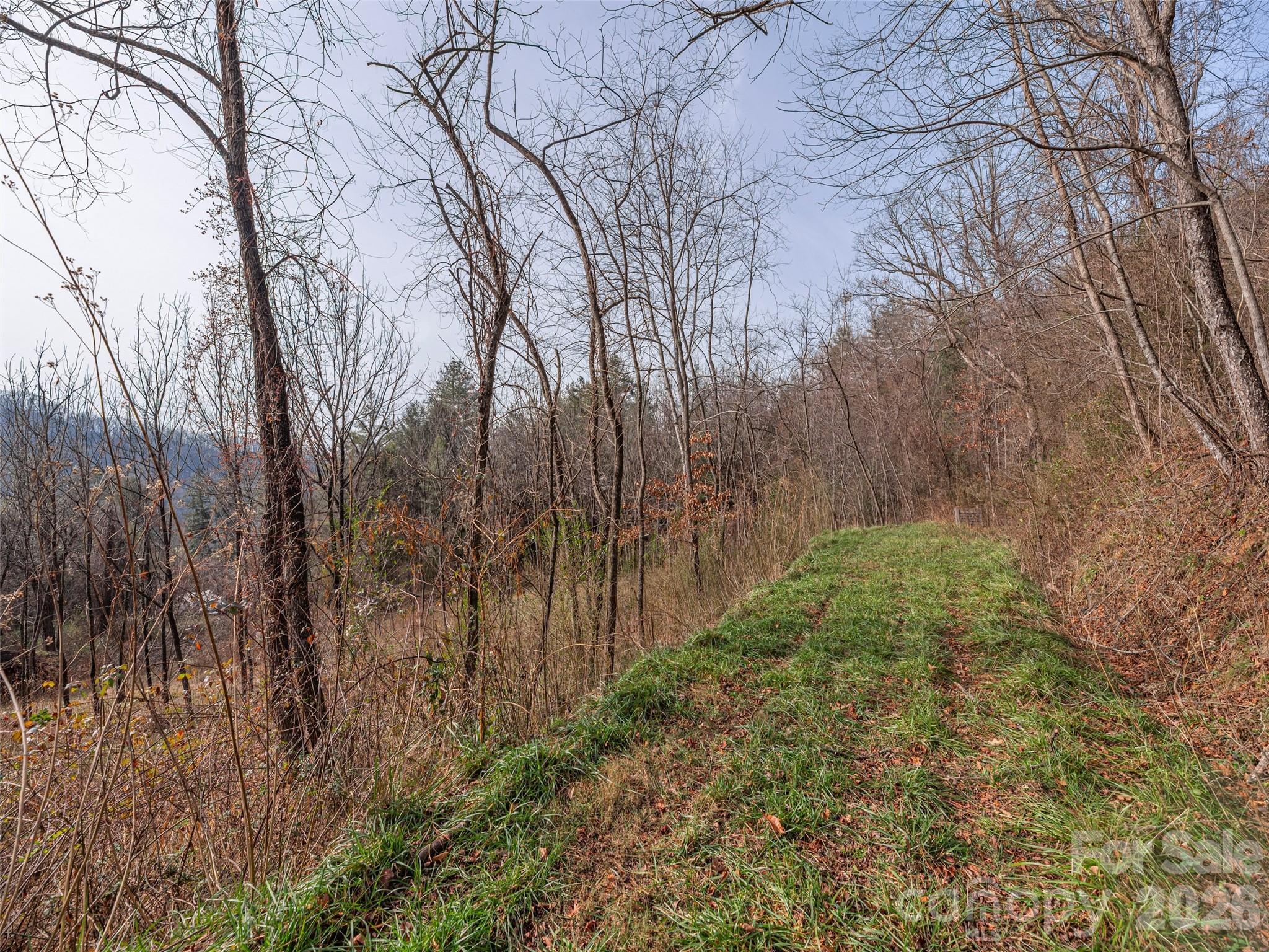 Lot 31 Hooper Cemetery Road Cullowhee, NC 28723 - Photo 9 of 25