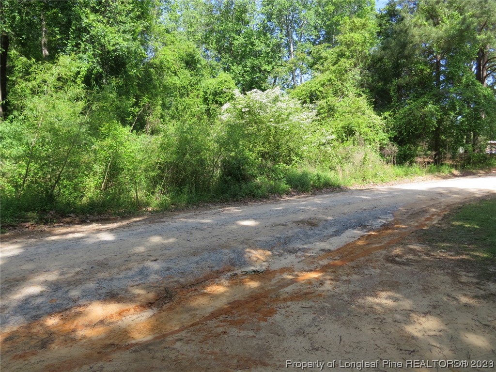 0 Butcher Road Cameron, NC 28326 - Photo 4 of 9 a view of a dirt road with trees in the background