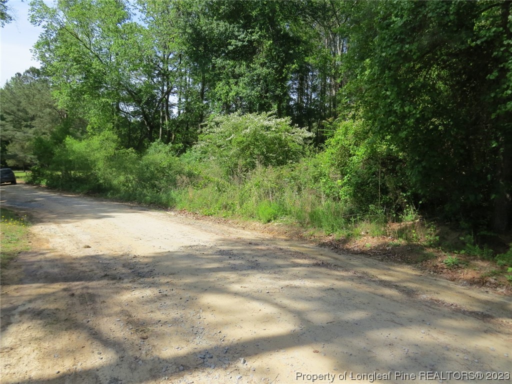 0 Butcher Road Cameron, NC 28326 - Photo 6 of 9 a view of a dirt road with trees in the background