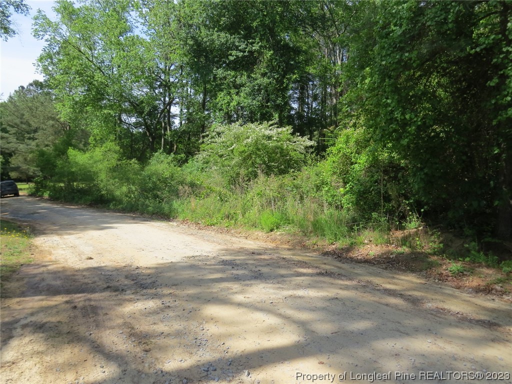 0 Butcher Road Cameron, NC 28326 - Photo 7 of 9 a view of a dirt road with trees in the background