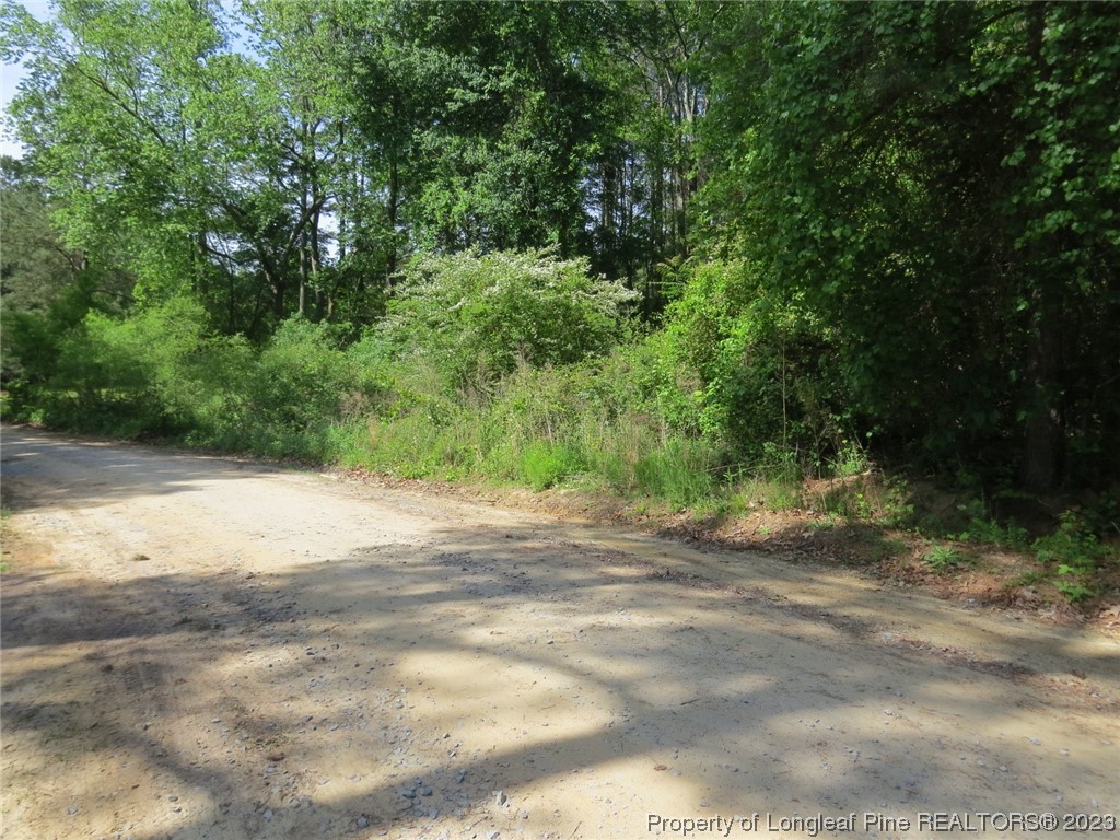 0 Butcher Road Cameron, NC 28326 - Photo 8 of 9 a view of a dirt road with trees in the background
