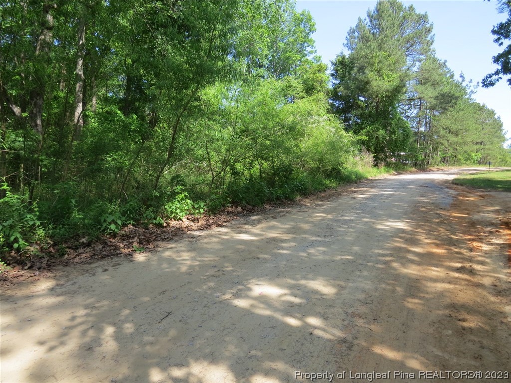 0 Butcher Road Cameron, NC 28326 - Photo 9 of 9 a view of a dirt road with trees in the background