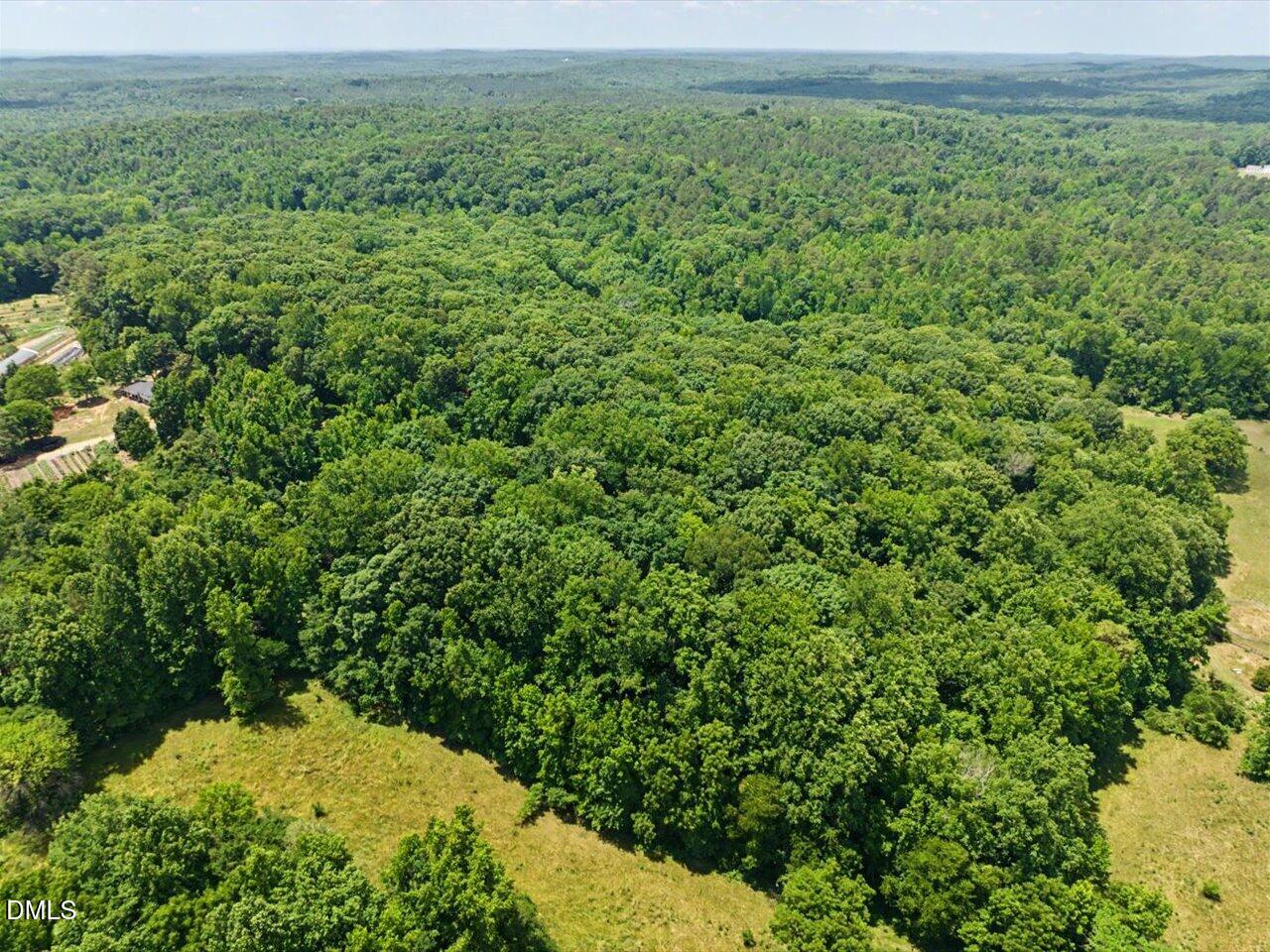 477 Jay Shambley Road Pittsboro, NC 27312 - Photo 6 of 28