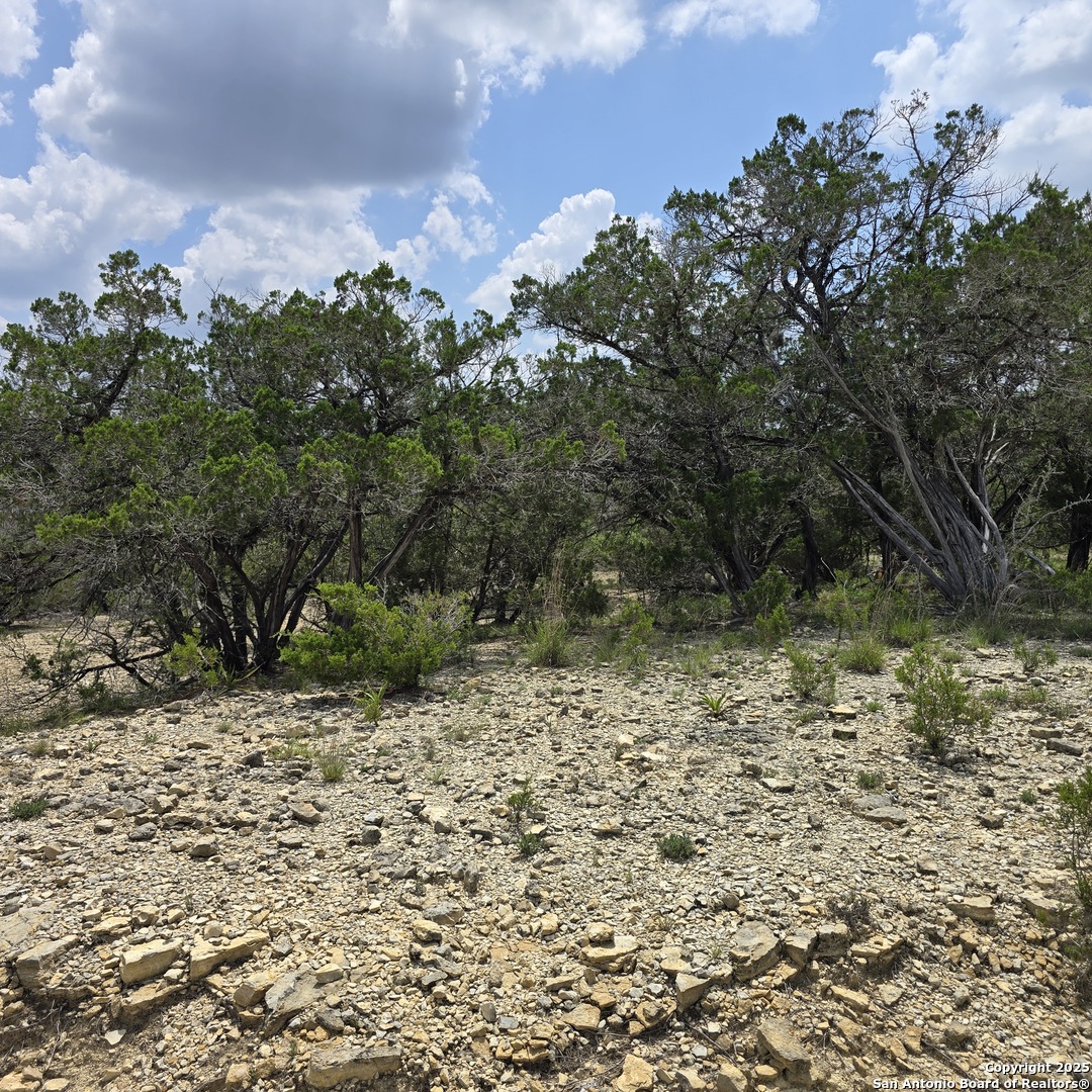 Lot 18 Pecos Road Bandera, TX 78003 - Photo 2 of 6 a view of a yard with plants and a bench