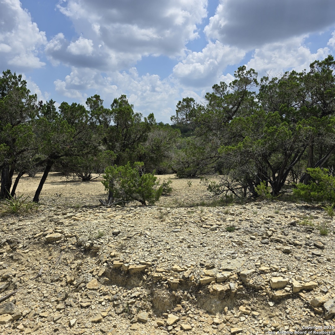 Lot 18 Pecos Road Bandera, TX 78003 - Photo 3 of 6 a backyard of a house with lots of trees