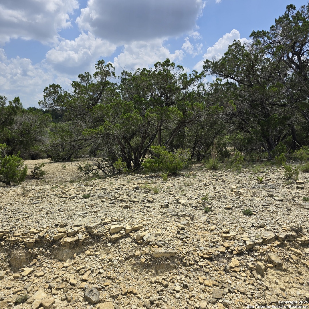 Lot 18 Pecos Road Bandera, TX 78003 - Photo 4 of 6 a view of a yard with trees