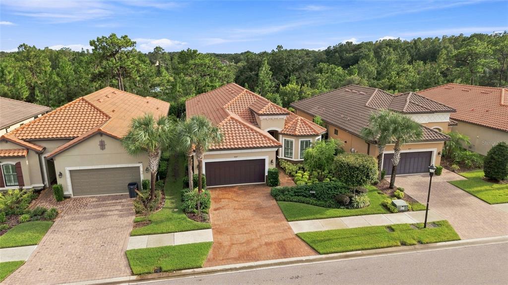 8557 Grand Alberato Road Tampa, FL 33647 - Photo 47 of 55 Gallery Image 47