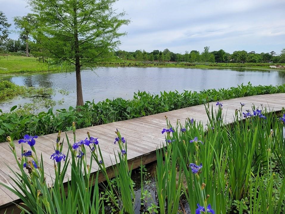 7326 Thurow Street Houston, TX 77087 - Photo 18 of 20 Houston Botanical Gardens on Park Place Blvd within 2 miles.