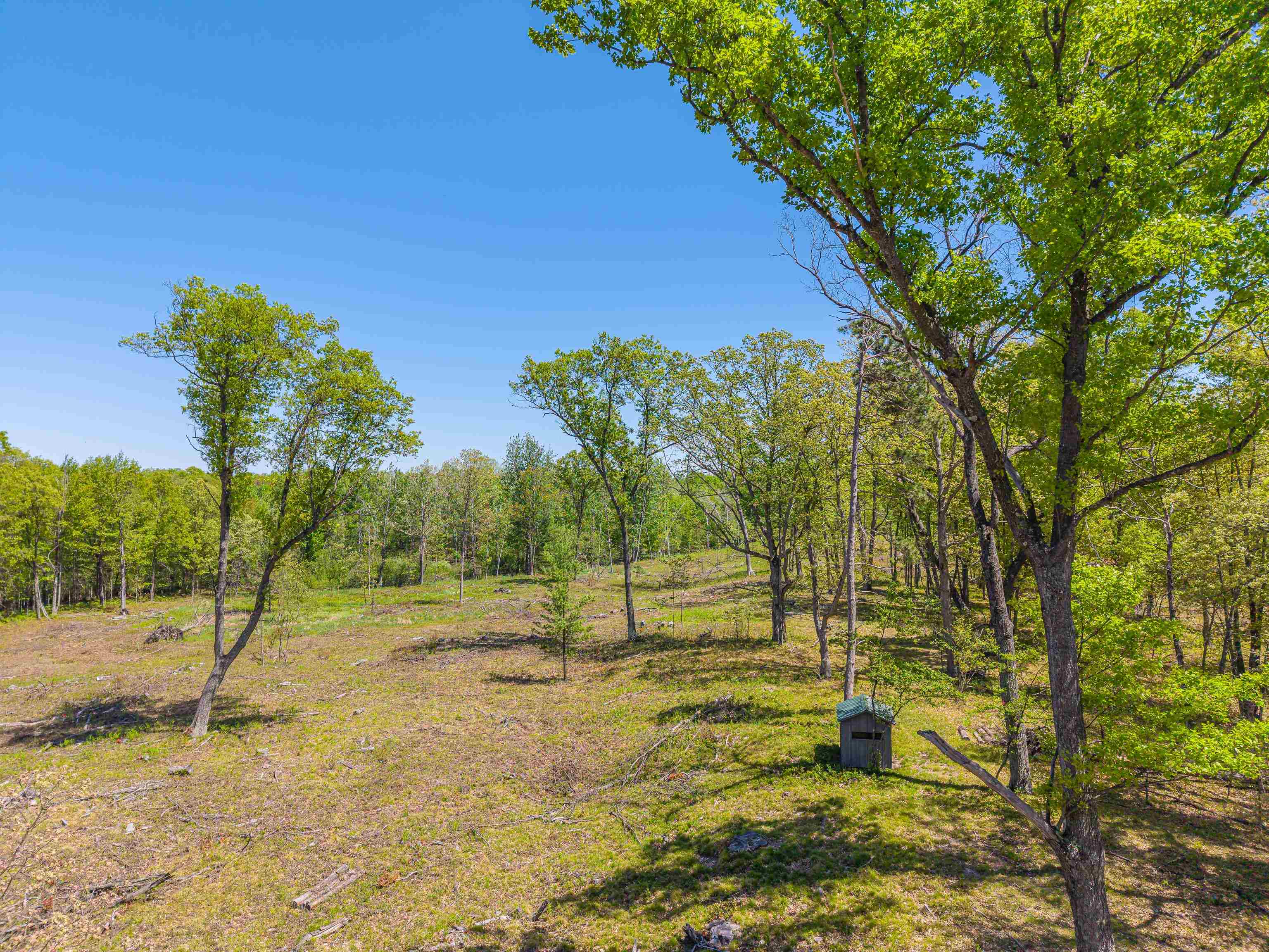 240 Hilts Road Gladwin, MI 48624 - Photo 72 of 97