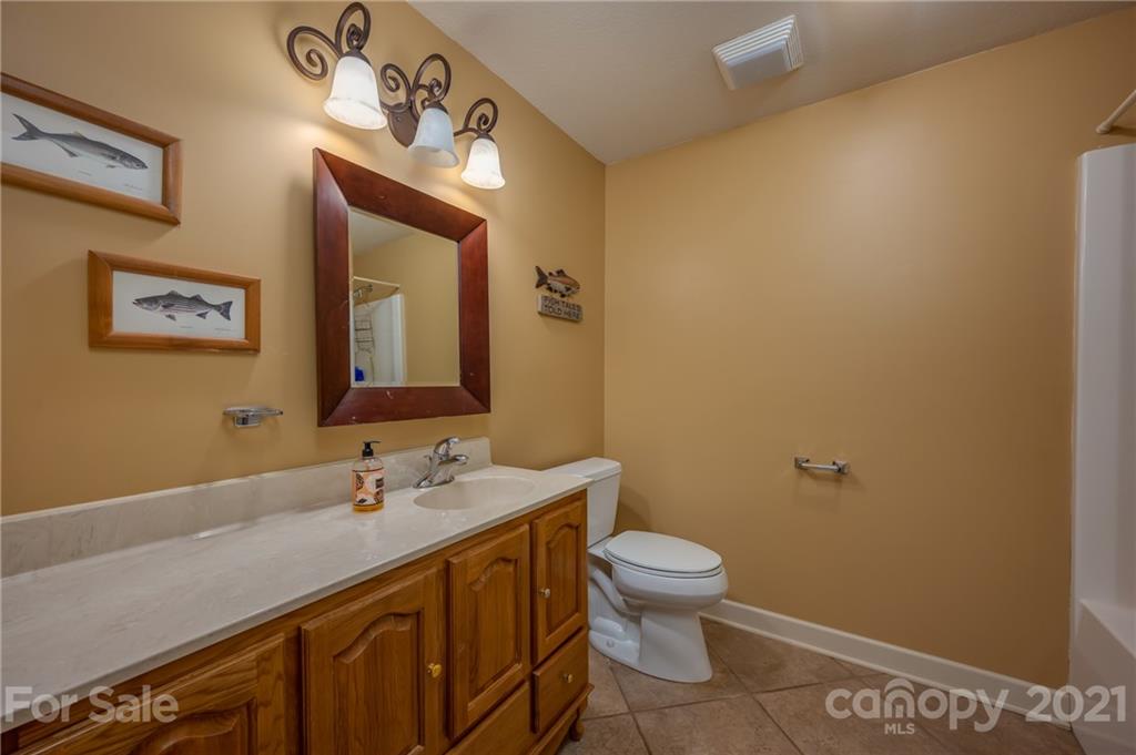 1426 Hayes Road Columbus, NC 28722 - Photo 33 of 45 a bathroom with a sink a toilet and mirror