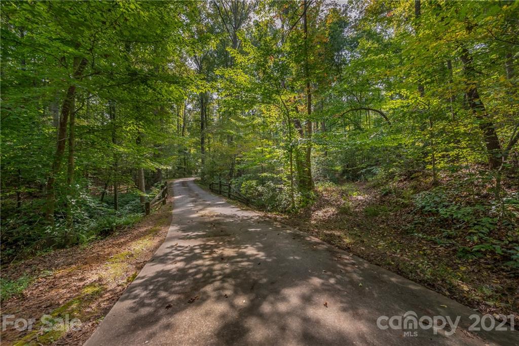 1426 Hayes Road Columbus, NC 28722 - Photo 41 of 45 a view of a pathway both side of yard