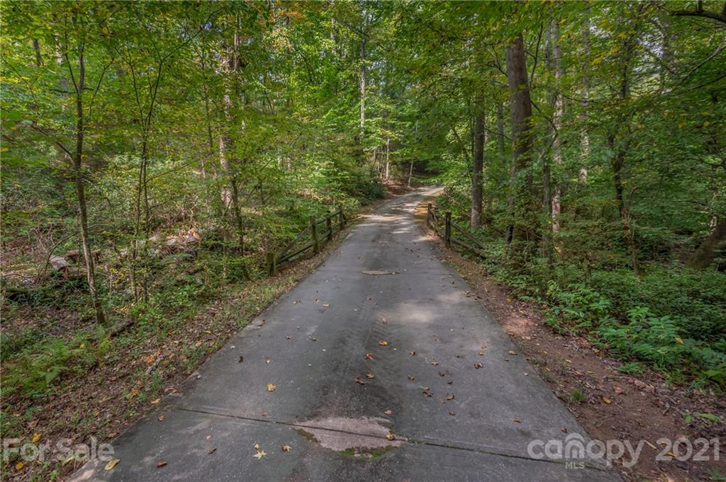 1426 Hayes Road Columbus, NC 28722 - Photo 43 of 45 a view of a pathway both side of yard