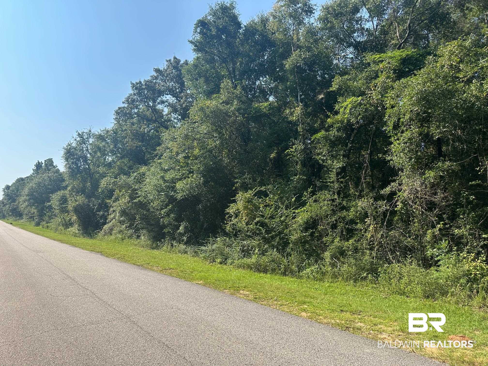 0 Danner Road East Wilmer, AL 36587 - Photo 12 of 13 View of asphalt road with a wooded view