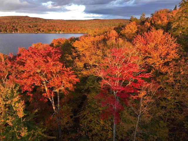 $1,695 | 670 Wayeeses Shore, Morgan, VT 05872