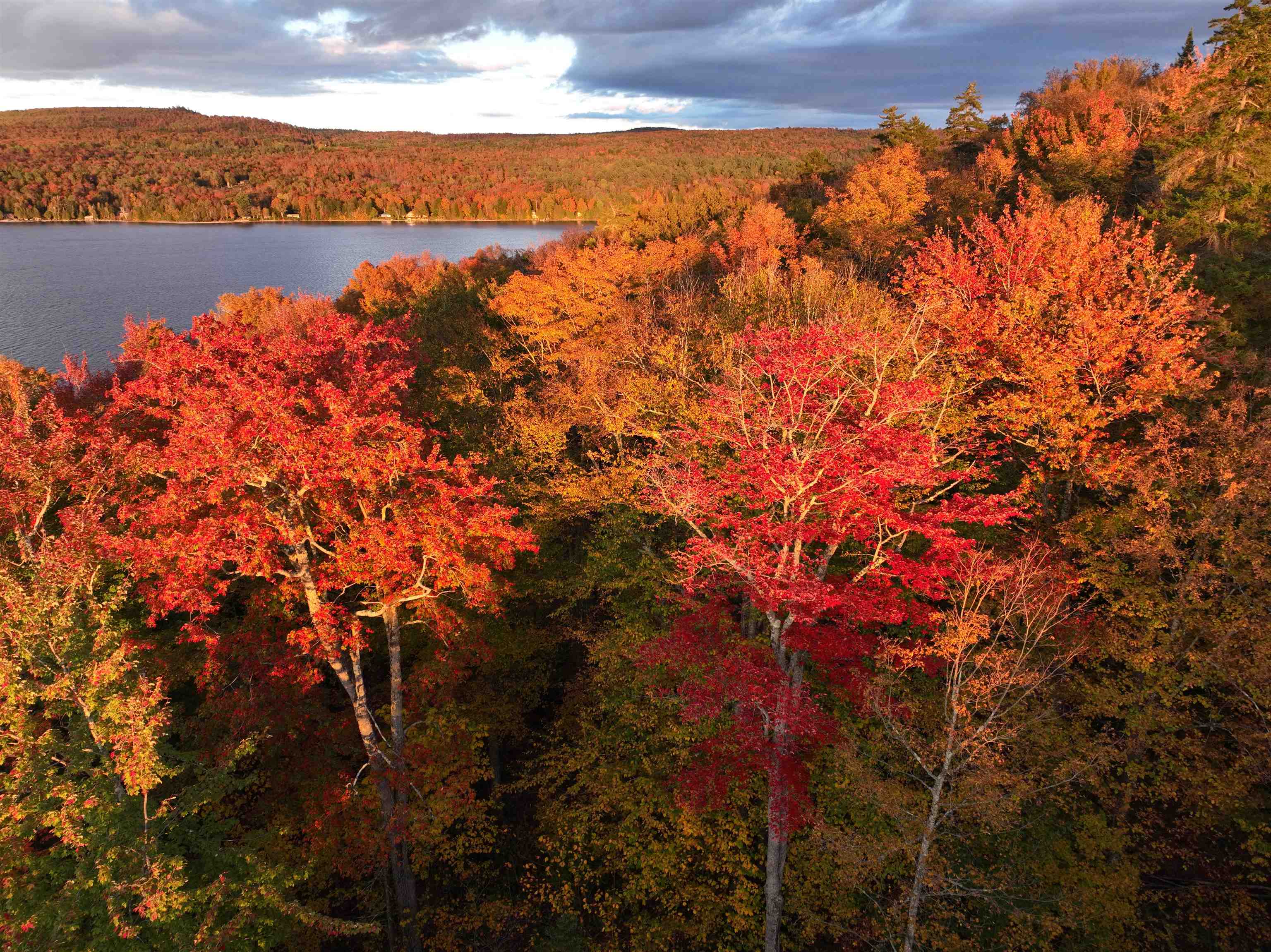 670 Wayeeses Shore Morgan, VT 05872 - Photo 24 of 24